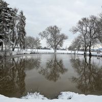 oberwälder see winter